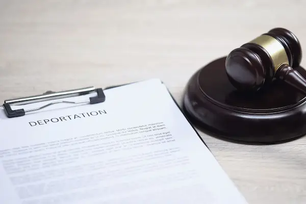 Immigration Attorney